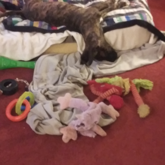 Meet your Posher, Juli - Picture 4 of 4